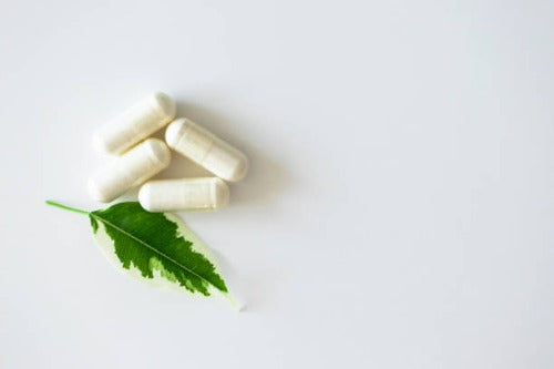 Probiotic Capsules